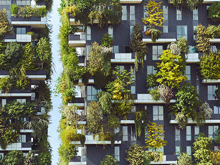 COIMA-SGR-bosco-verticale-GALLERY-02-440×330-4